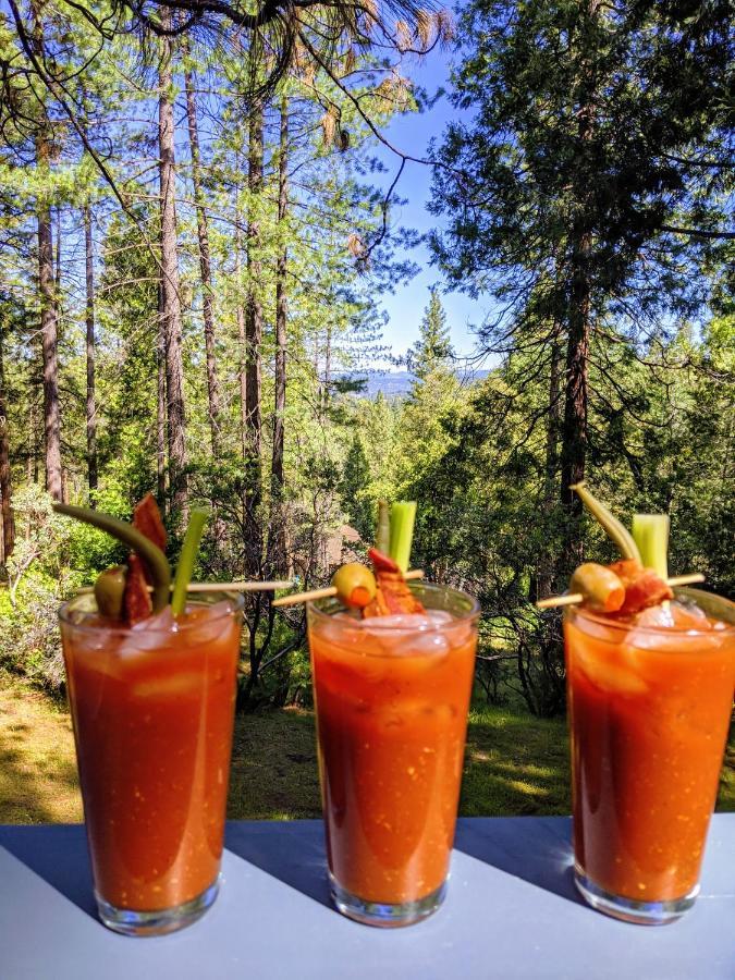 Breckenridge Chalet Near Yosemite. Dog Friendly! Groveland Exteriér fotografie