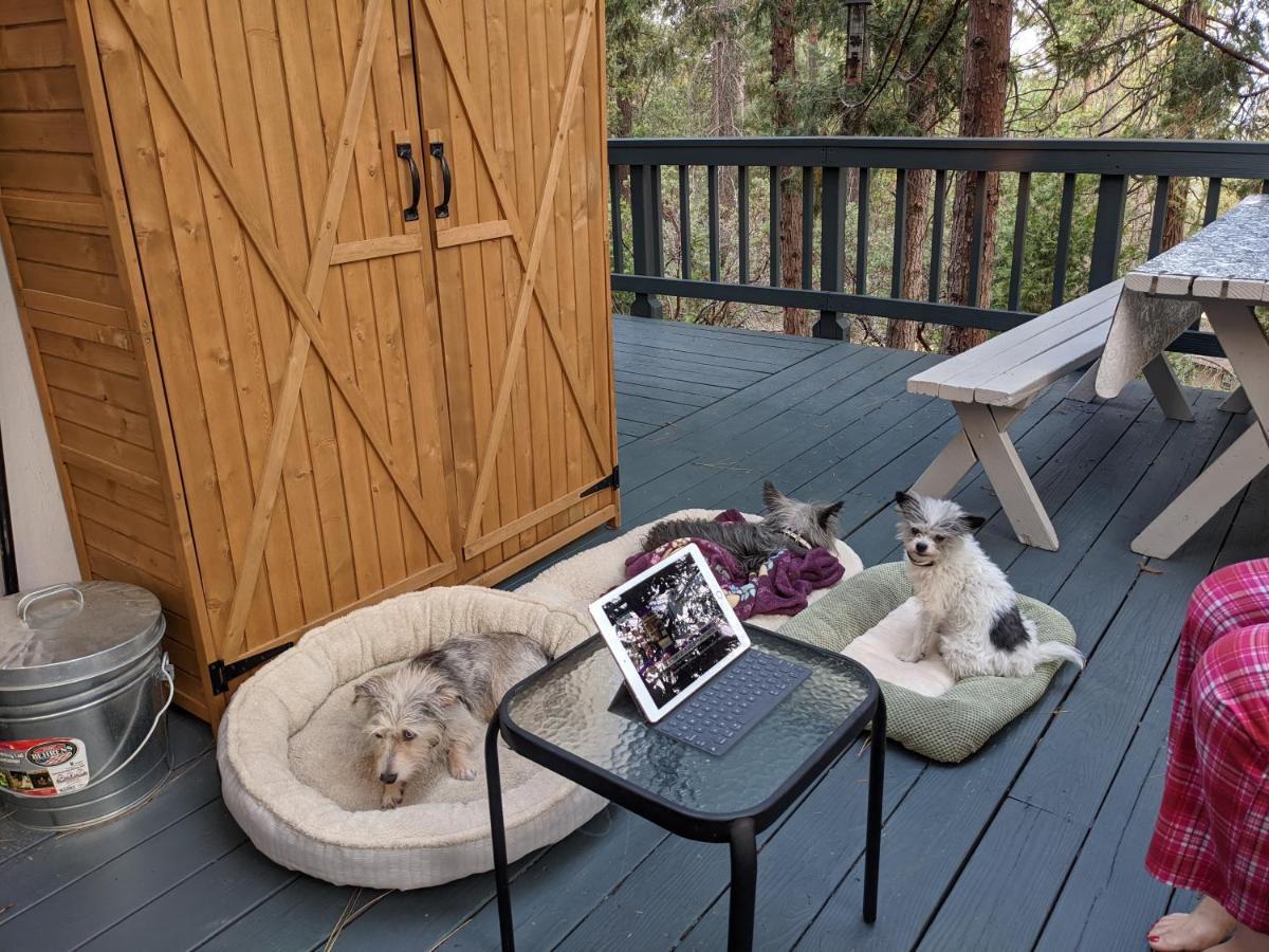 Breckenridge Chalet Near Yosemite. Dog Friendly! Groveland Exteriér fotografie